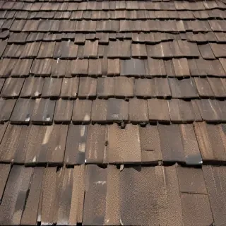 picture of shingles