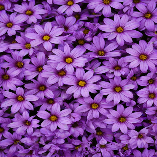 purple flowers background