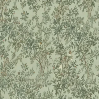 sage aesthetic wallpaper