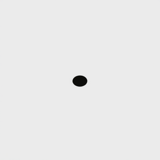 Create a high-resolution image of a plain white square with a single black circle in the center, using a DSLR camera with a 50mm lens, aperture set to f/1.8 for shallow depth of field, shot from a top-down view to enhance focus on the circle.
