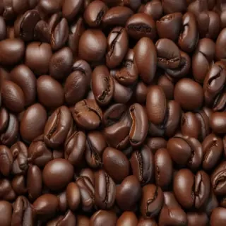 coffee bean png