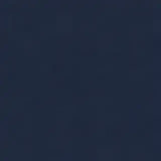 navy blue bg
