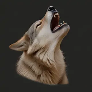 wolf howl png