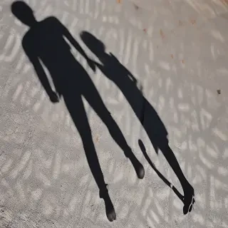 shadow transparent