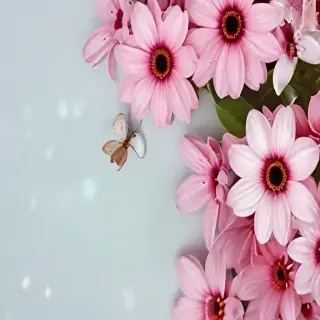 flower background for phone