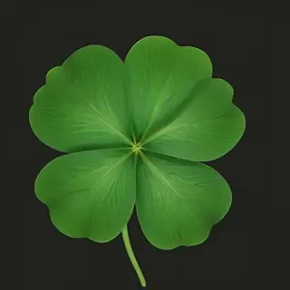 clover png