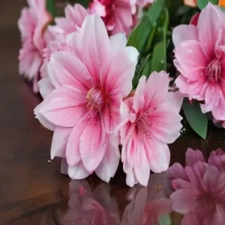 cute background iphone