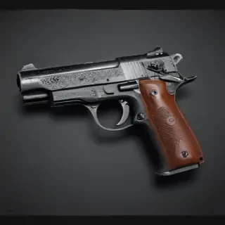 gun no background