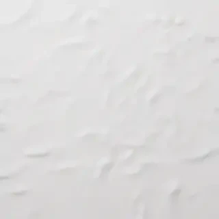 white background aesthetic