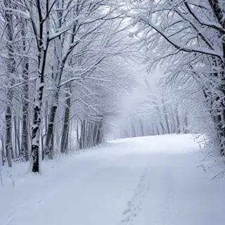 snow backgrounds for iphone