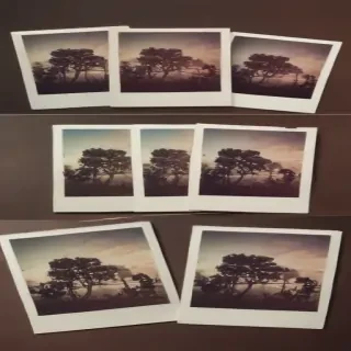 polaroid mockup