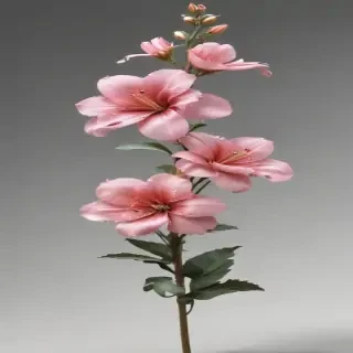 aesthetic flower png