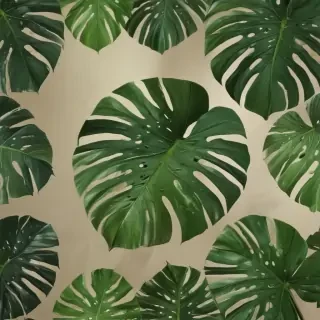 monstera background