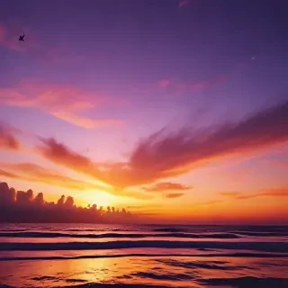 sunset wallpaper for phone