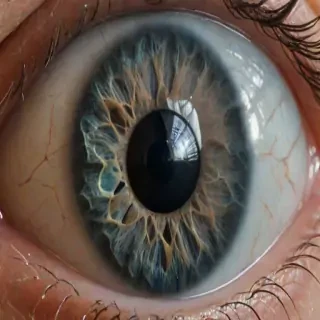 png eyeball