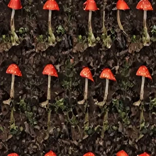 red mushroom