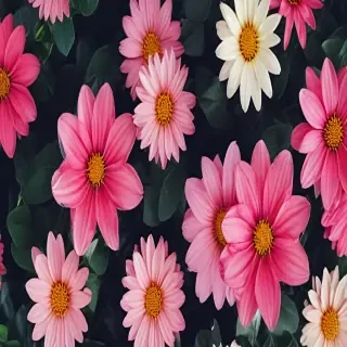 wallpaper iphone flower