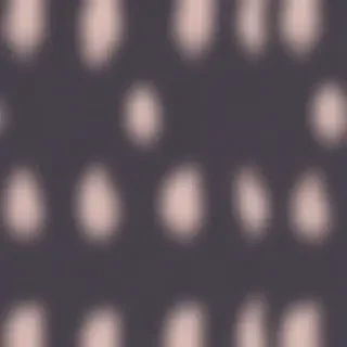 booty backgrounds
