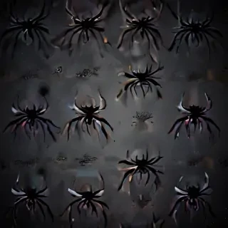 spider background