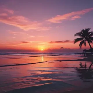 aesthetic wallpaper sunset
