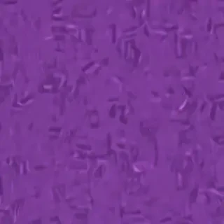 purple screen wallpaper