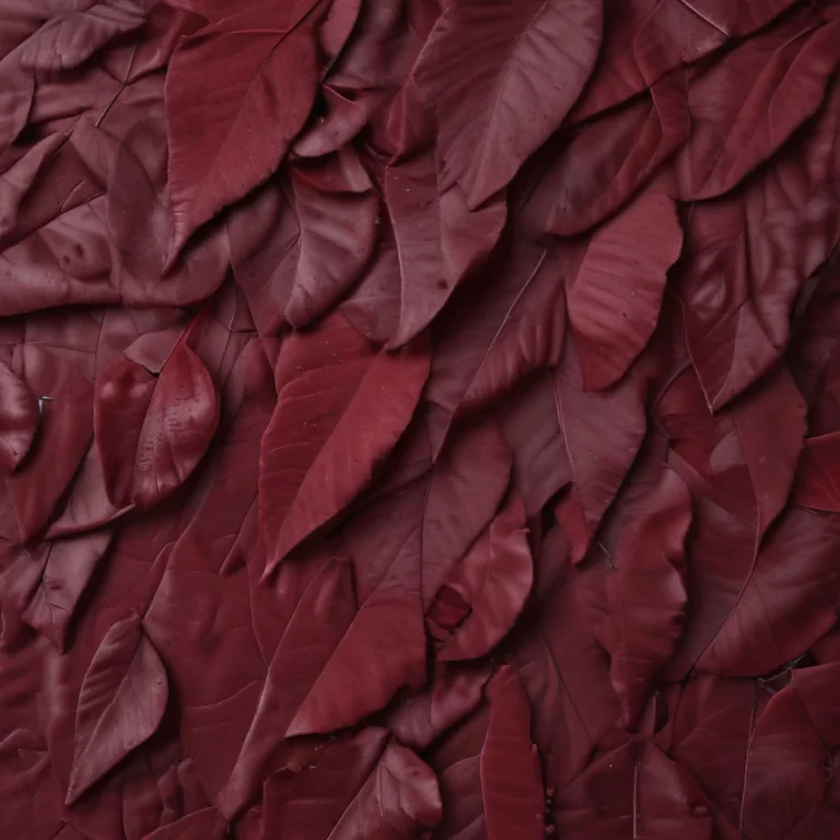 maroon aesthetic