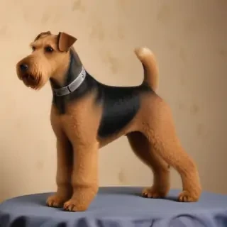 airedale terrier