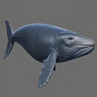 blue whale png