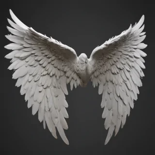 angel wings png