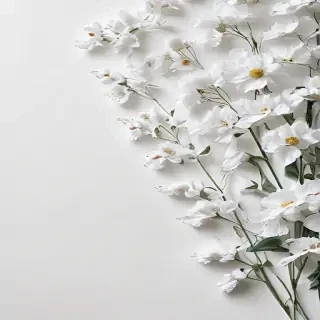 white background aesthetic