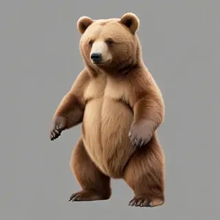 png bear