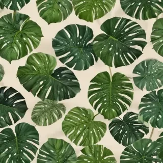 monstera background