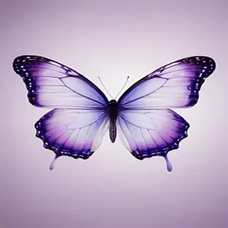 transparent purple butterfly