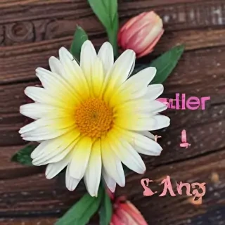 hello may images