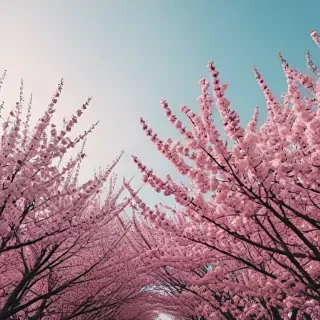 aesthetic spring wallpapers