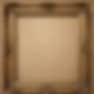 background frame photo