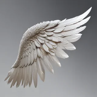 png angel wings