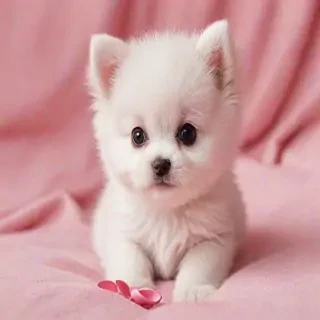 pink cute pics