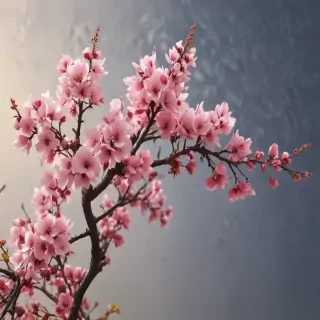 simple wallpapers