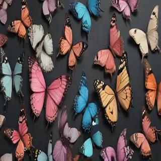 aesthetic butterflies