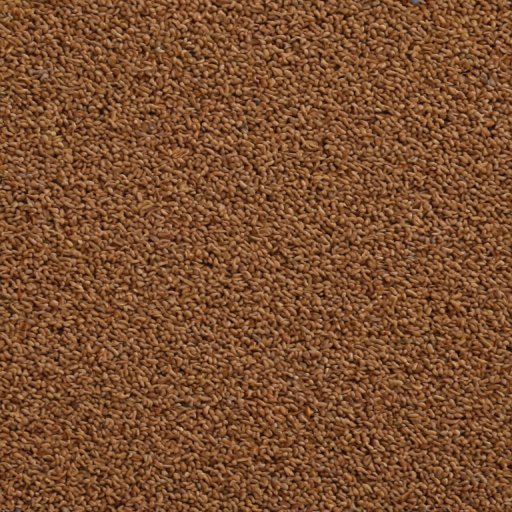 carpet png
