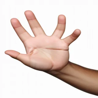 hand png transparent