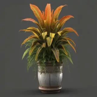 indoor plant png