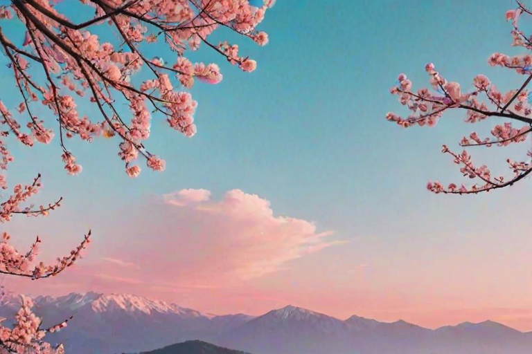 pretty aesthetic wallpapers