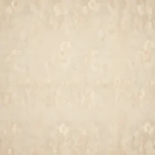 cream background wallpaper