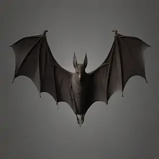 bat wings png