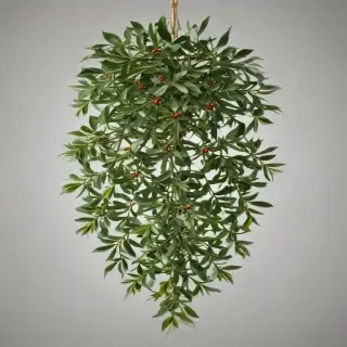 mistletoe png