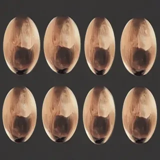 images circle