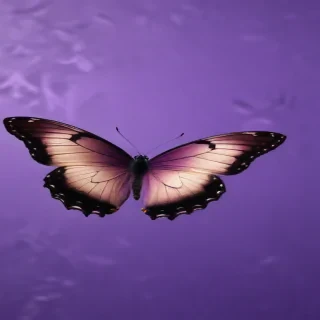 butterfly purple background
