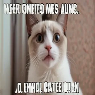 meme songs
